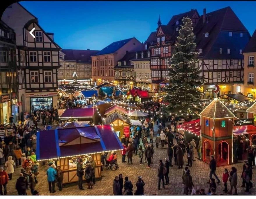 Waldstuebchen Quedlinburg Daire Dış mekan fotoğraf